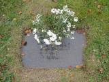 image of grave number 466215